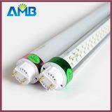 Fluorescent Tube (T5 / T8 / T10)