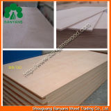 Hot Sale of Melamine Plywood, Commercial Plywood Price