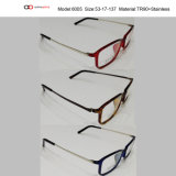 Tr90 and Metal Optical Frame-6005, Eyewear, Eyeglass