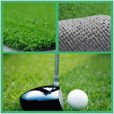 Golf Sport Synthetic Grass (MHQD-C10R30PM)