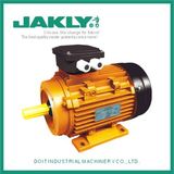 MS Series Three-Phase Electric Motor