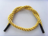 Factory Black Plastic Tip Nylon Twisted Handle Rope