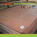 Poplar Plywood From China Munufacturer