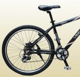 Mountain Bicycle (newest)