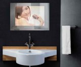 19inch Bathroom Mirror TV (TWMD1901)
