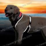 LED 'flash' Soft Dog Harness (YD011)
