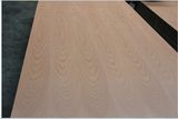 Factory-Natural Beech Veneer Fancy Plywood