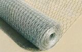 Galvanized Before Weave (GBW) -Hexagonal Netting