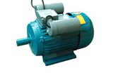 MS Motor