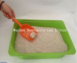 Bentonite Cat Litter
