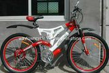 Bicycle (WT-2675D)