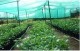 Sun Shade Net