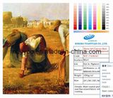 Rome Art Canvas Matte Pure Cotton (Waterproof) 