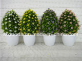 Artificial Plastic Potted Flower (XD15-376)