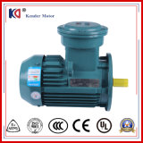 CE Approved Asynchronous Electric Anti-Explosion Motor