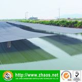 Balck Shade Net with Pool Use