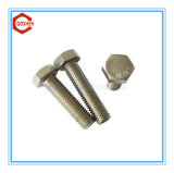 Stainless Steel Hex Bolt/Fastener Bolt/Carbon Steel Zinc Plated Bolts