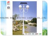 Brsgl088 Efficiency and 12V Working Voltage LED Solar Light