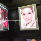 LED Ultra Thin Snap Frame Makeup Light Box