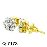 New Design 925 Silver Fashion Earrings Jewellery (Q-7173)