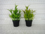 Artificial Plastic Potted Flower (XD15-367C)