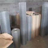1 Inch Electric Galvanized Welded Wire Mesh