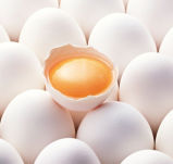 Egg White Powder for Health Food