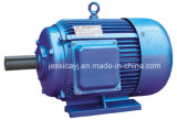 AC 3phase Induction Electric Motor
