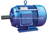 AC 3phase Induction Electric Motor