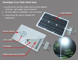 IP65 Solar Light / Solar Street Light with LED