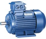 Three Phase Induction Electric Motor