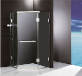 Frameless Shower Enclosure/ Hinge Stylish Shower Room