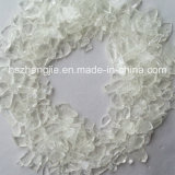 Powder Coating Tgic Polyester Resin (ZJ9030)