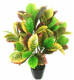 Indoor/ Outdoor Gold Artificial Ficus Tree Ficus Bonsai 565