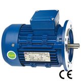 Y2 Series Electric Motor (180L-4/20kw)