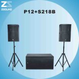 P12+S218b PRO Audio
