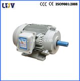 Y2 Electric Motor