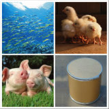 GMP Pharmaceutical Methionine for Livestock, Poultry and Aquaculture