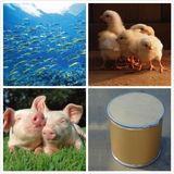 GMP Pharmaceutical Methionine for Livestock, Poultry and Aquaculture