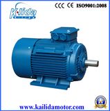 AC Asynchronous Electric Motor