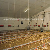 Automatic Poultry Farm Equipment with Environment Controller