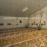 Automatic Poultry Farm Equipment with Environment Controller