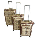 PU Leather Bags Trolley Case Luggage Jb-D012