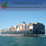Efficient Shipping Agent From China to Bayovar, Peru