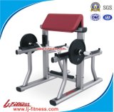 Arm Curl Bench Commercial Fitness Equipment
