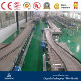 High Quality Bottle Conveyor System
