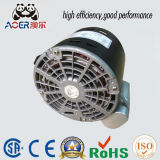Low Rpm Reversible AC Electric Grill Motor