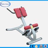 Rome Chair Back Extension Fitness
