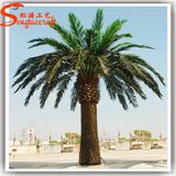 Competitive Price Home Decoration Artificial Plant Date Palm Tree