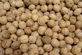 Hometown Walnut Kernel Seeds with High Nutrition Passed ISO